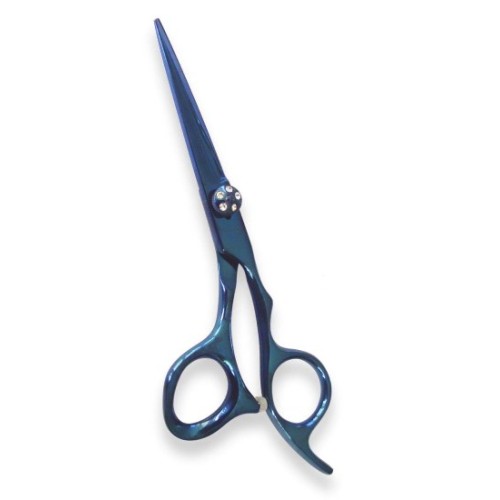Professional Hair Cutting Scissors